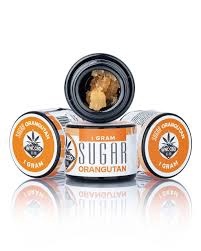 THCA SUGAR ORANGUTAN 1G